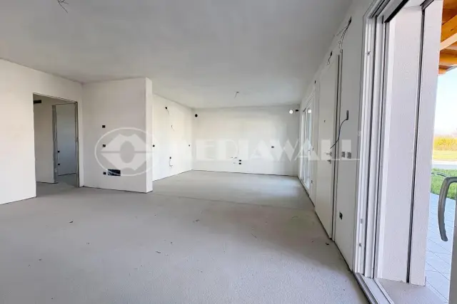 insertion image