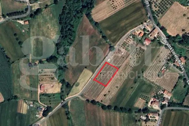insertion image