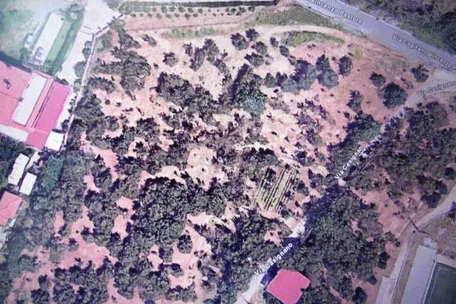 insertion image