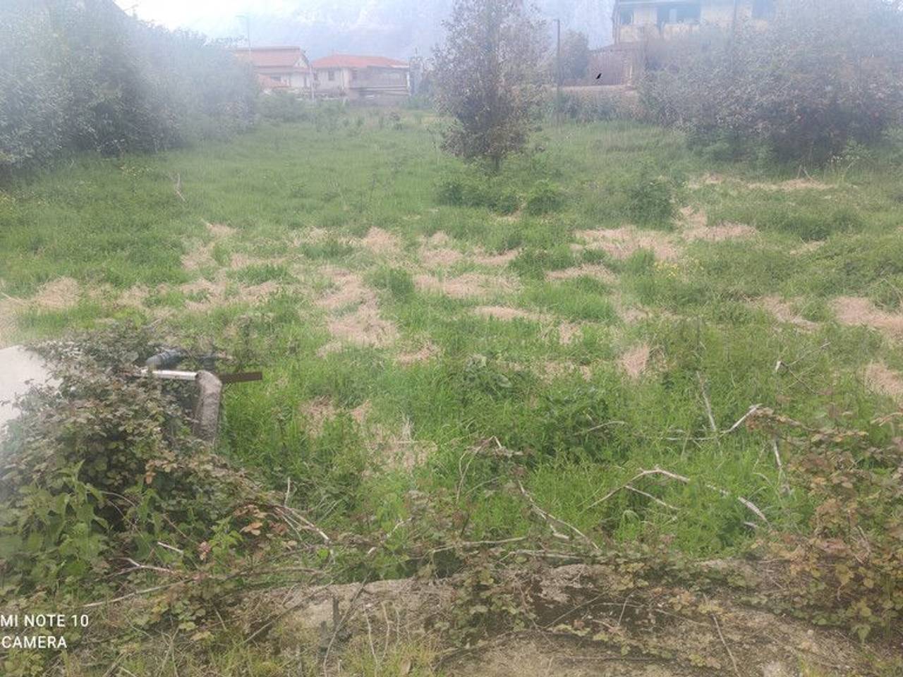 immagine annuncio 6 di 8