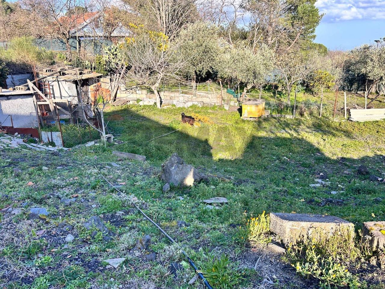 immagine annuncio 3 di 7