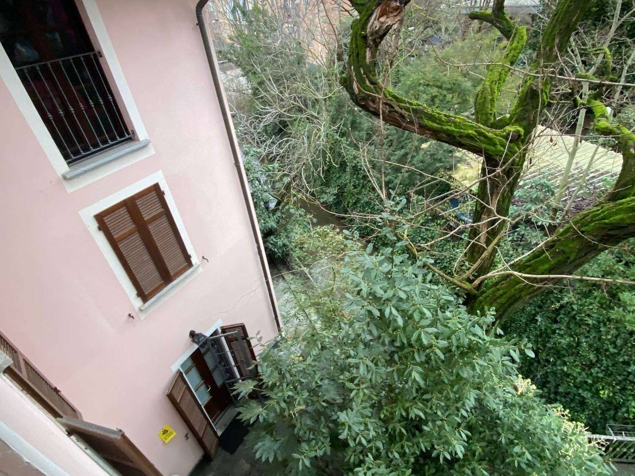 immagine annuncio 3 di 9