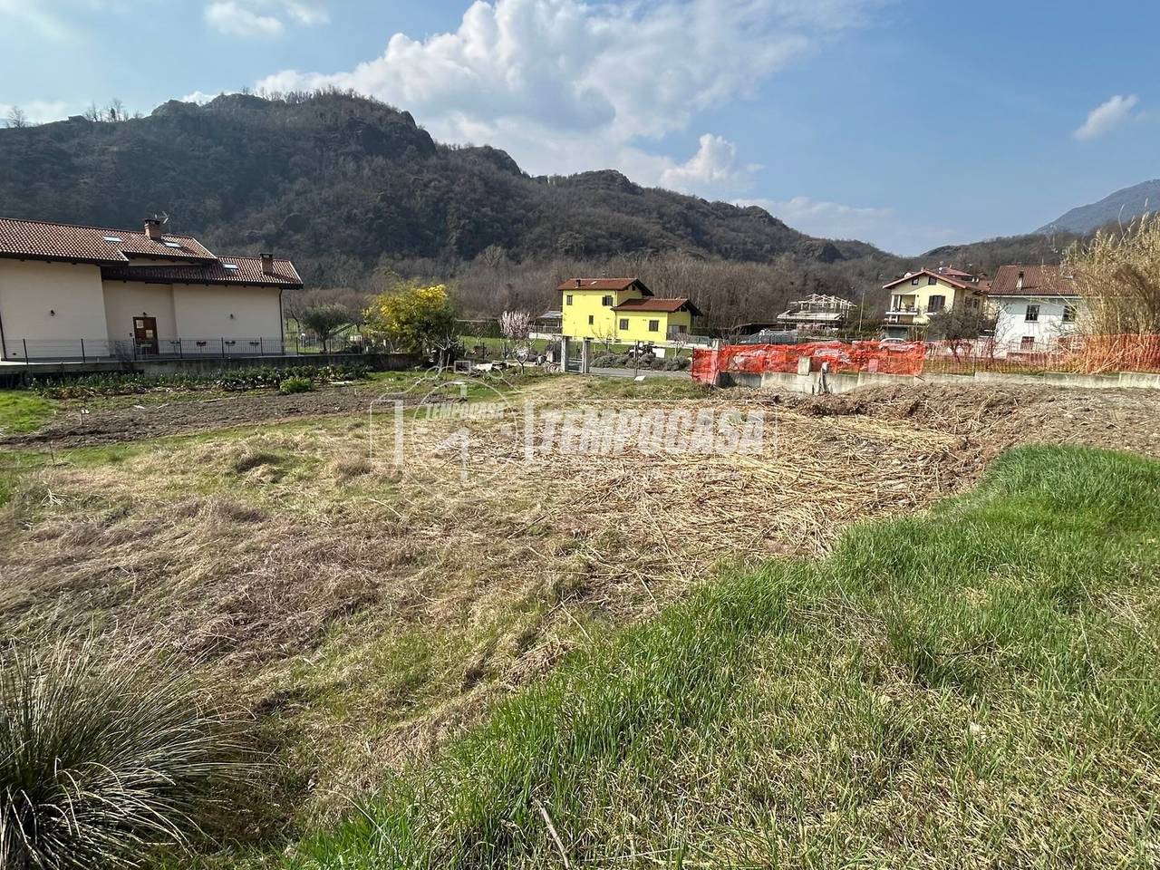 immagine annuncio 3 di 14