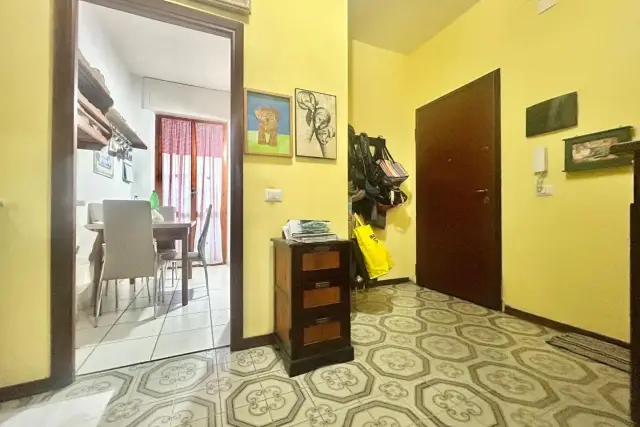 insertion image