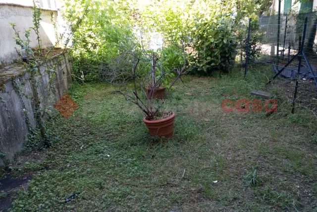 insertion image