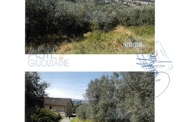 insertion image