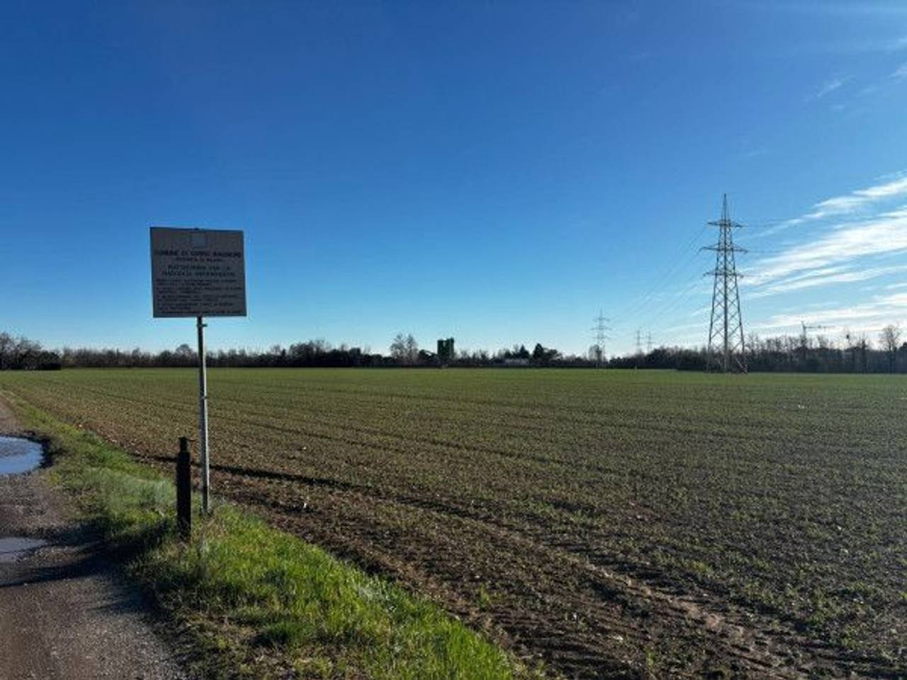 immagine annuncio 6 di 11