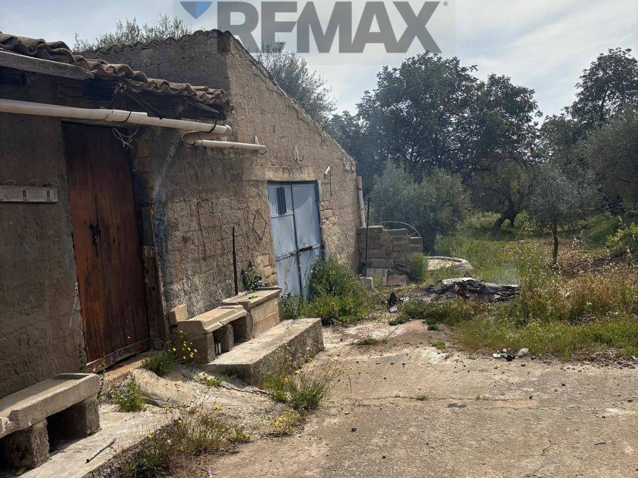 immagine annuncio 6 di 12