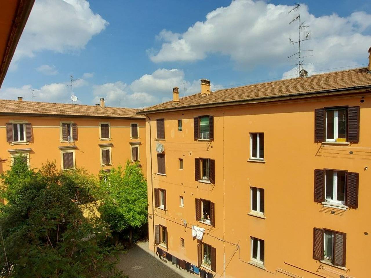 immagine annuncio 12 di 14
