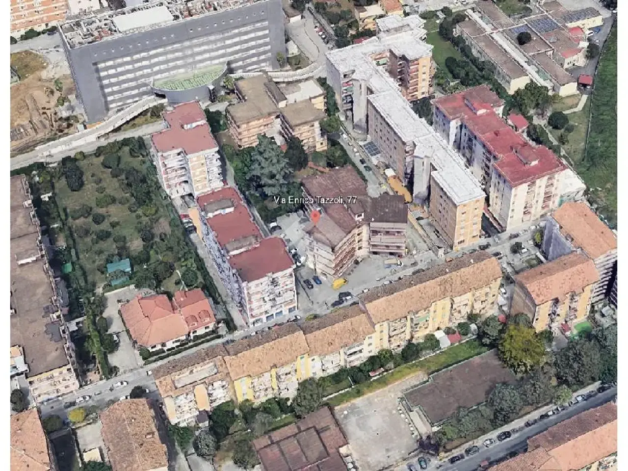 Negozio in Via Tazzoli 77, Caserta, {3} - Planimetria 1