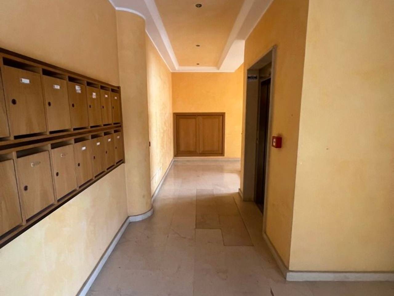 immagine annuncio 10 di 14