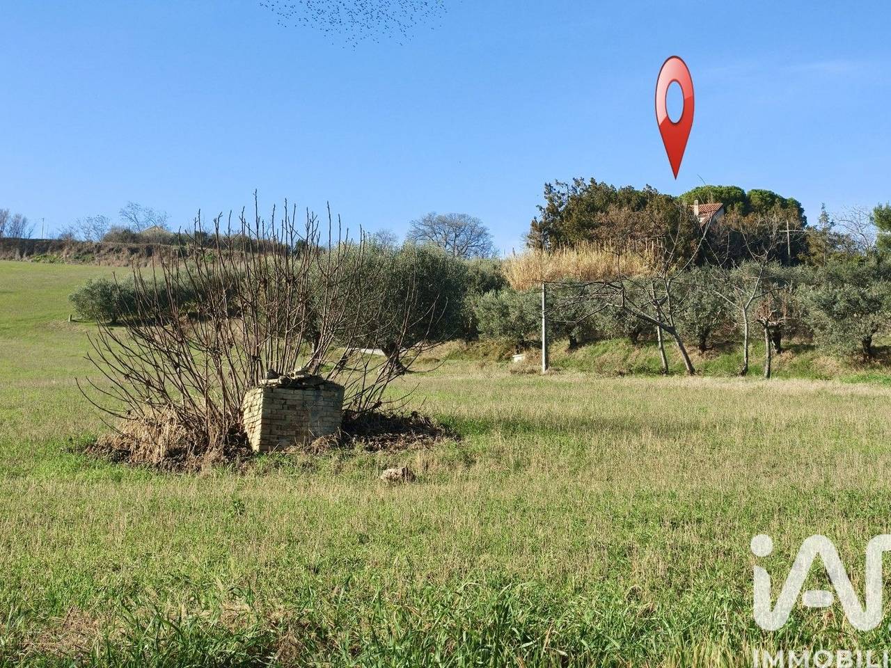 immagine annuncio 14 di 15