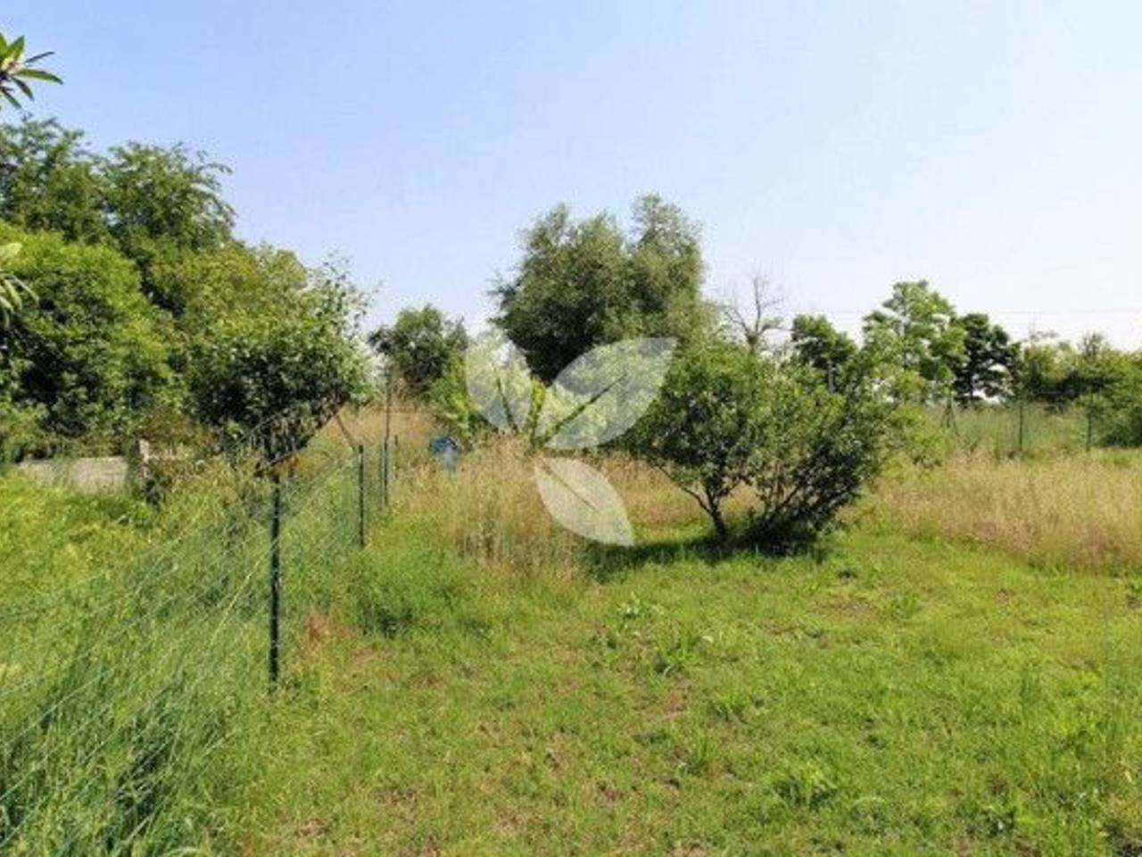 immagine annuncio 5 di 6