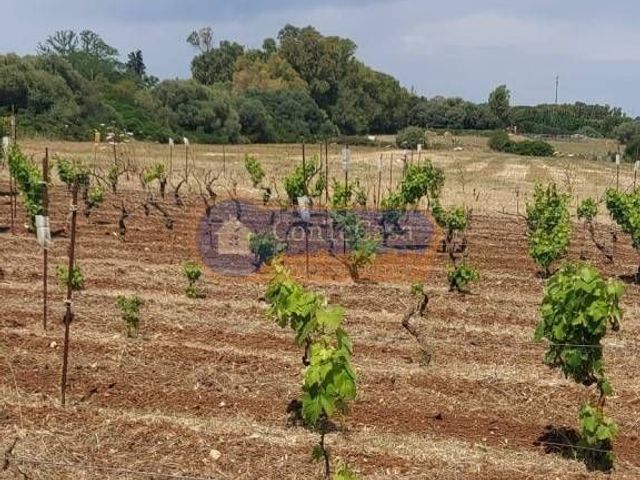 Terreno edificabile in Pian De Sorres 2, Sassari - Foto 1