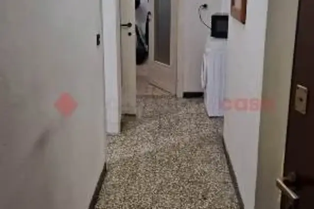 insertion image