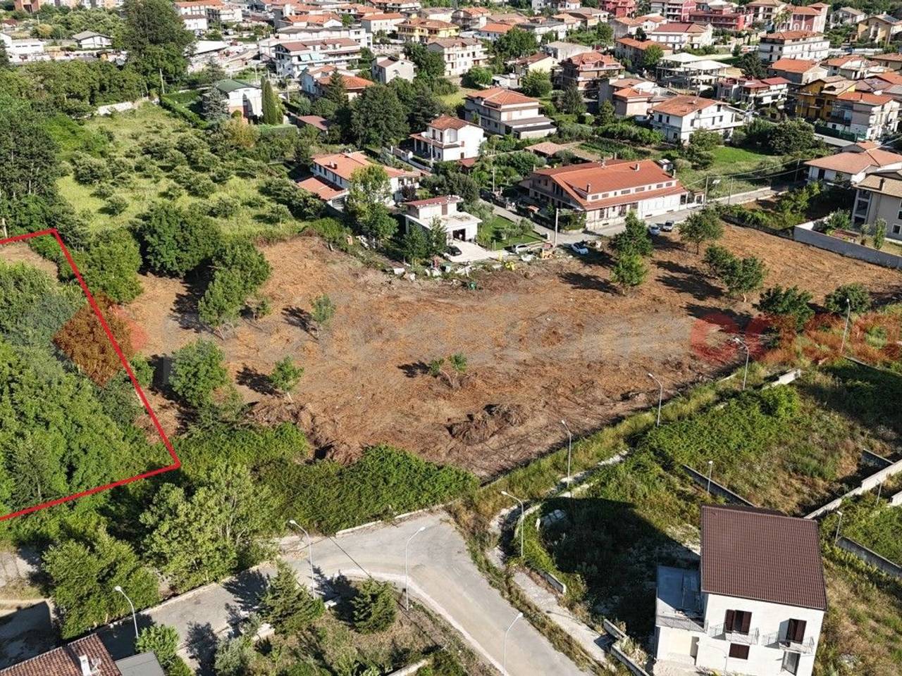 immagine annuncio 2 di 7