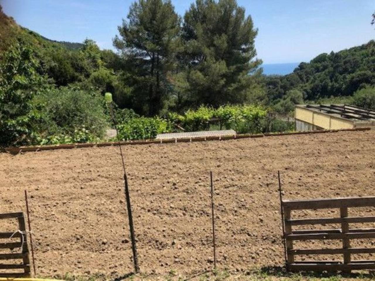 immagine annuncio 10 di 11