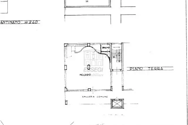 main planimetry real estate image