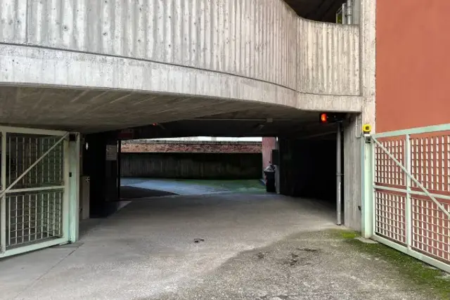 insertion image