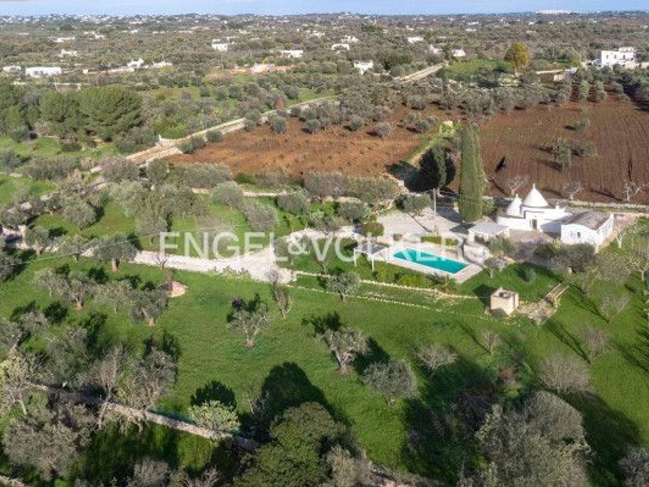 immagine annuncio 13 di 14