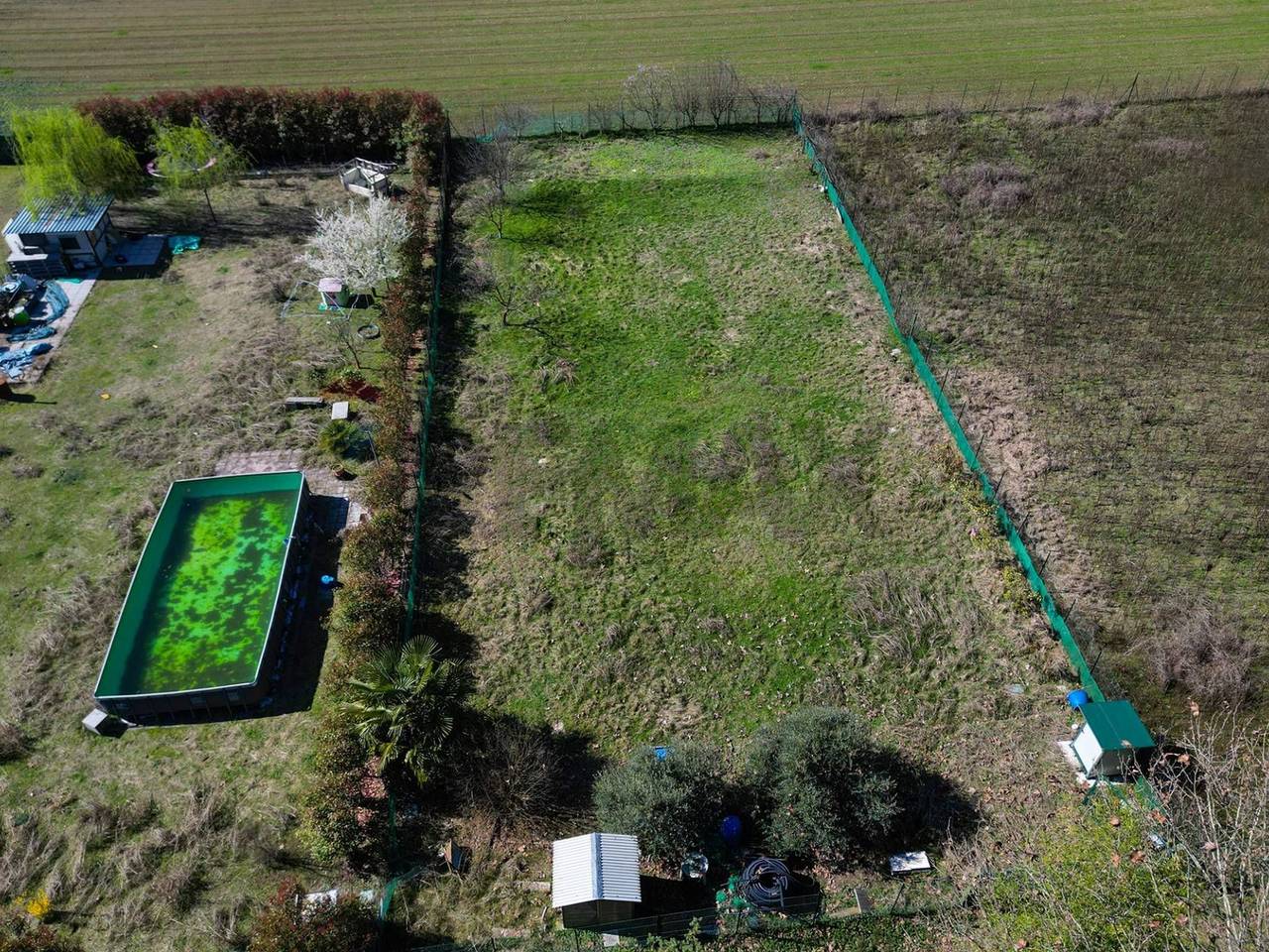 immagine annuncio 9 di 15