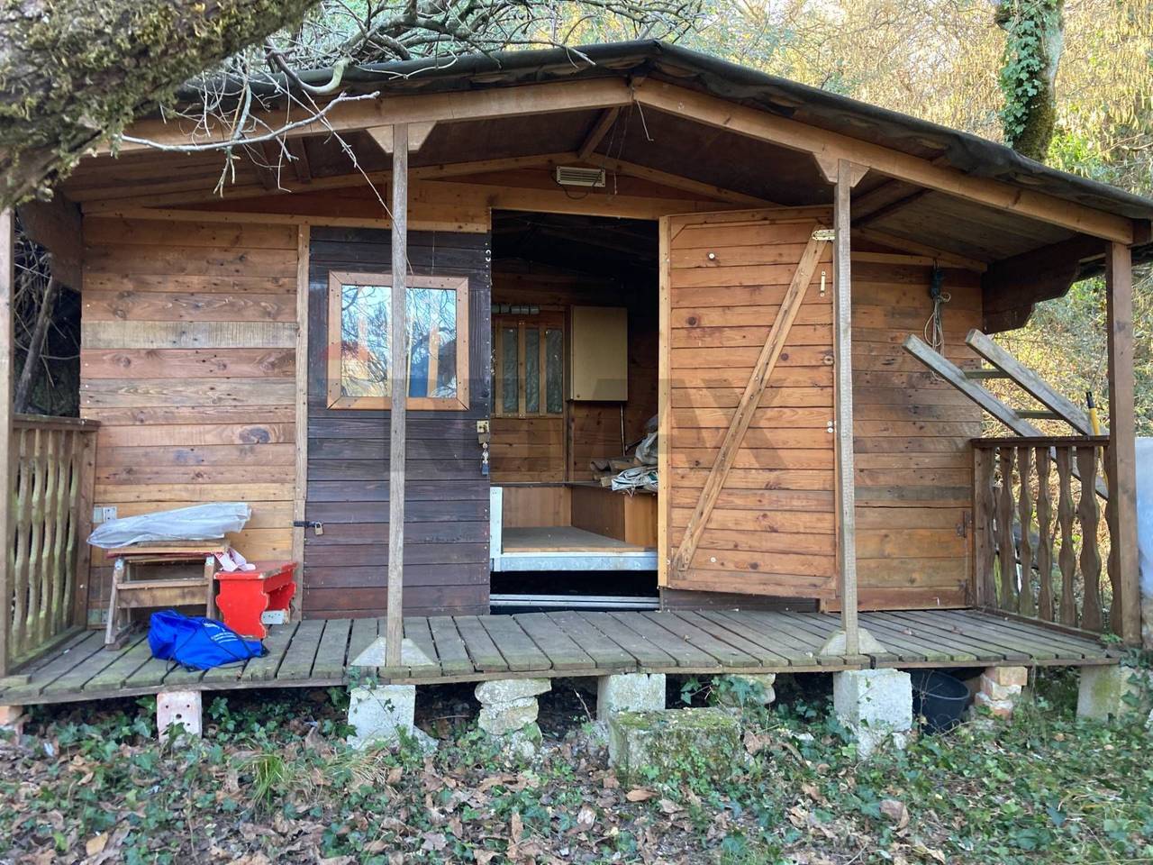 immagine annuncio 11 di 12