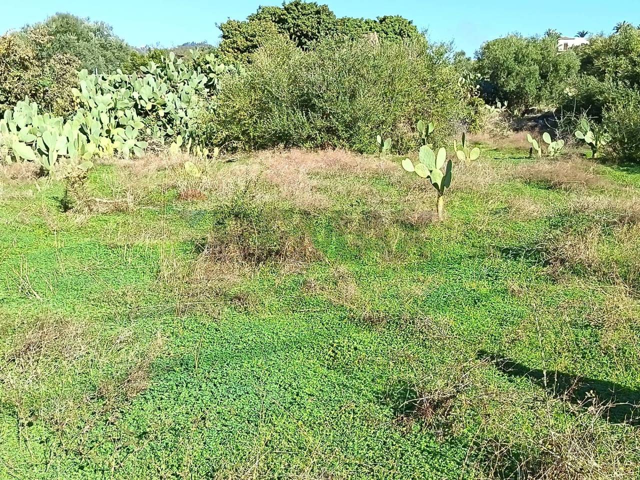 immagine annuncio 1 di 7