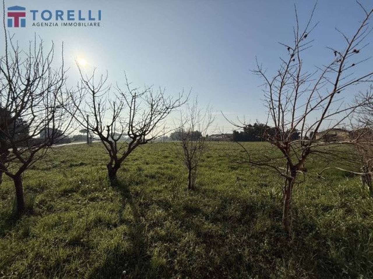 immagine annuncio 9 di 13