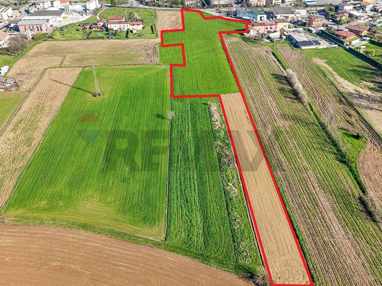 immagine annuncio 6 di 7