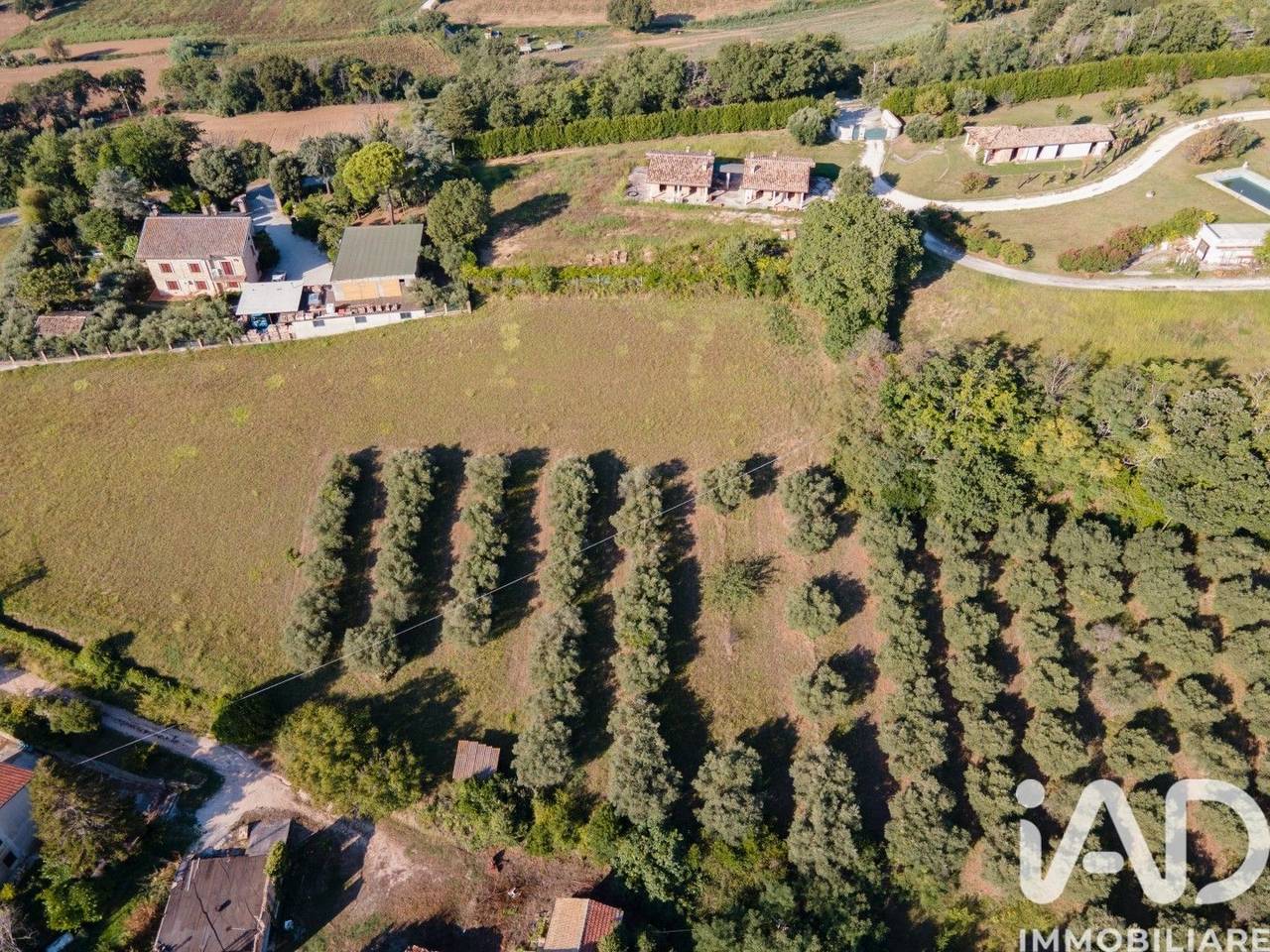 immagine annuncio 4 di 14