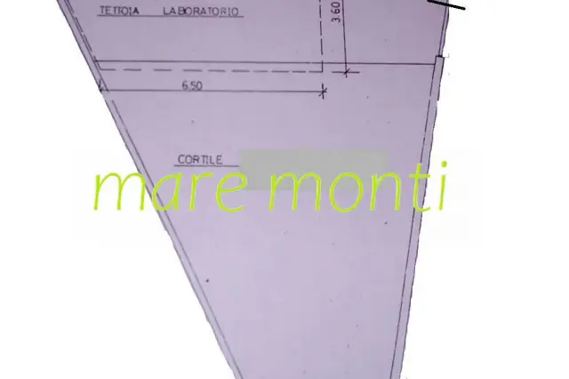 insertion image