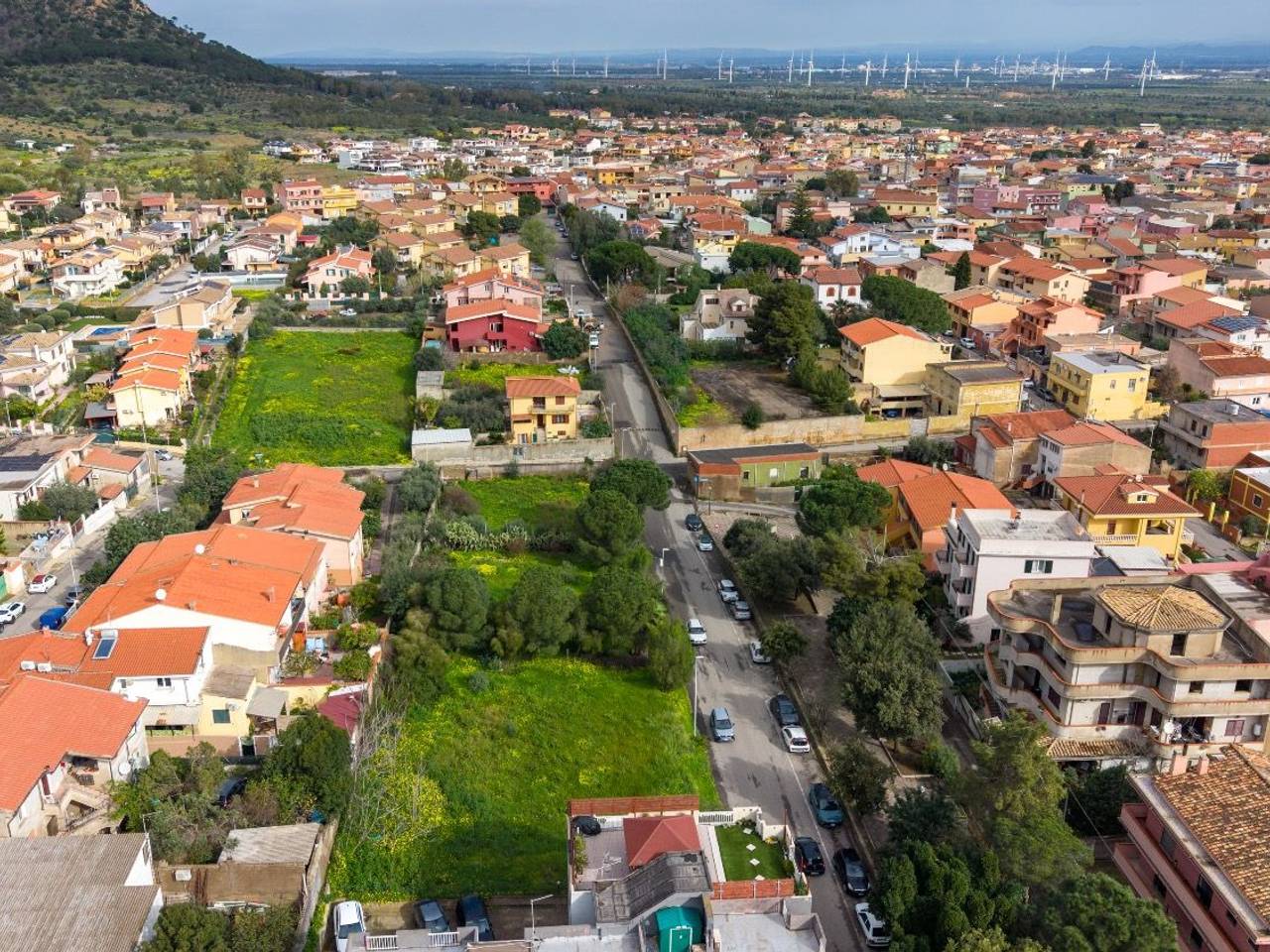 immagine annuncio 6 di 14