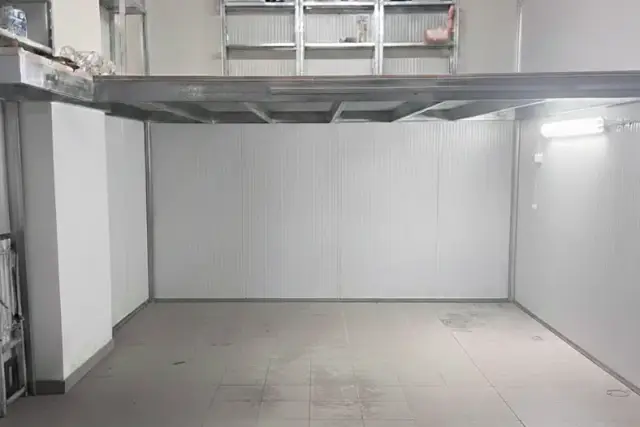 insertion image