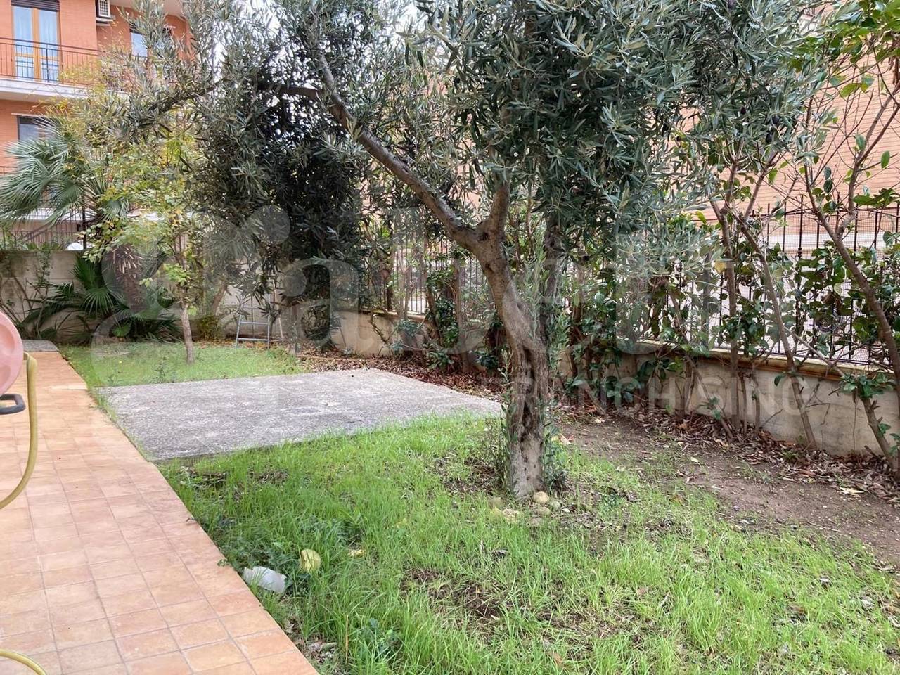 immagine annuncio 12 di 14