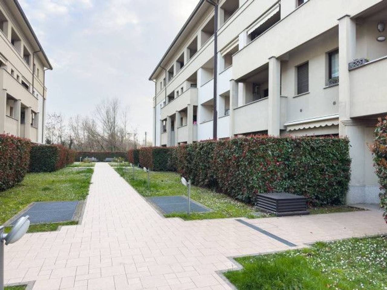 immagine annuncio 3 di 14