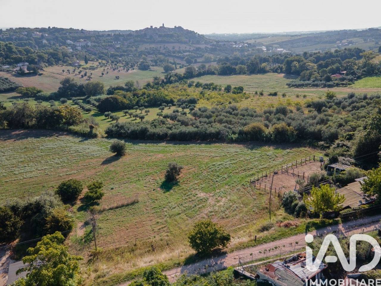 immagine annuncio 5 di 14