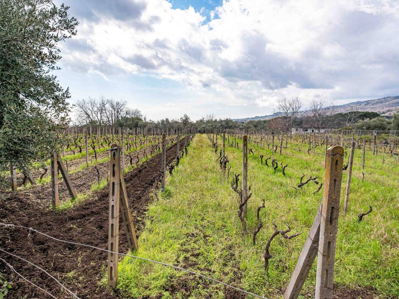 immagine annuncio 13 di 15