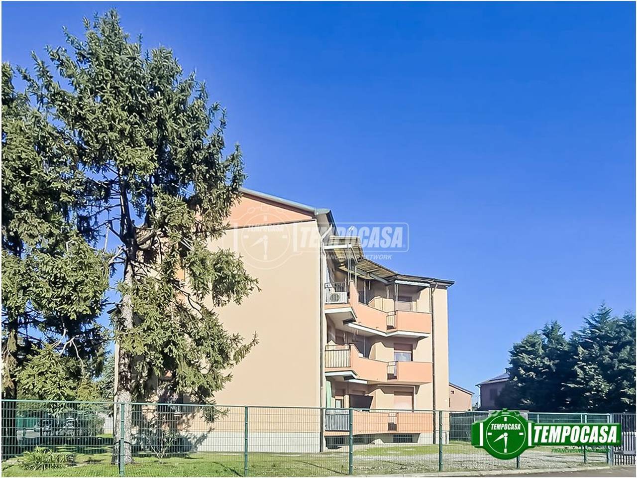 immagine annuncio 1 di 12