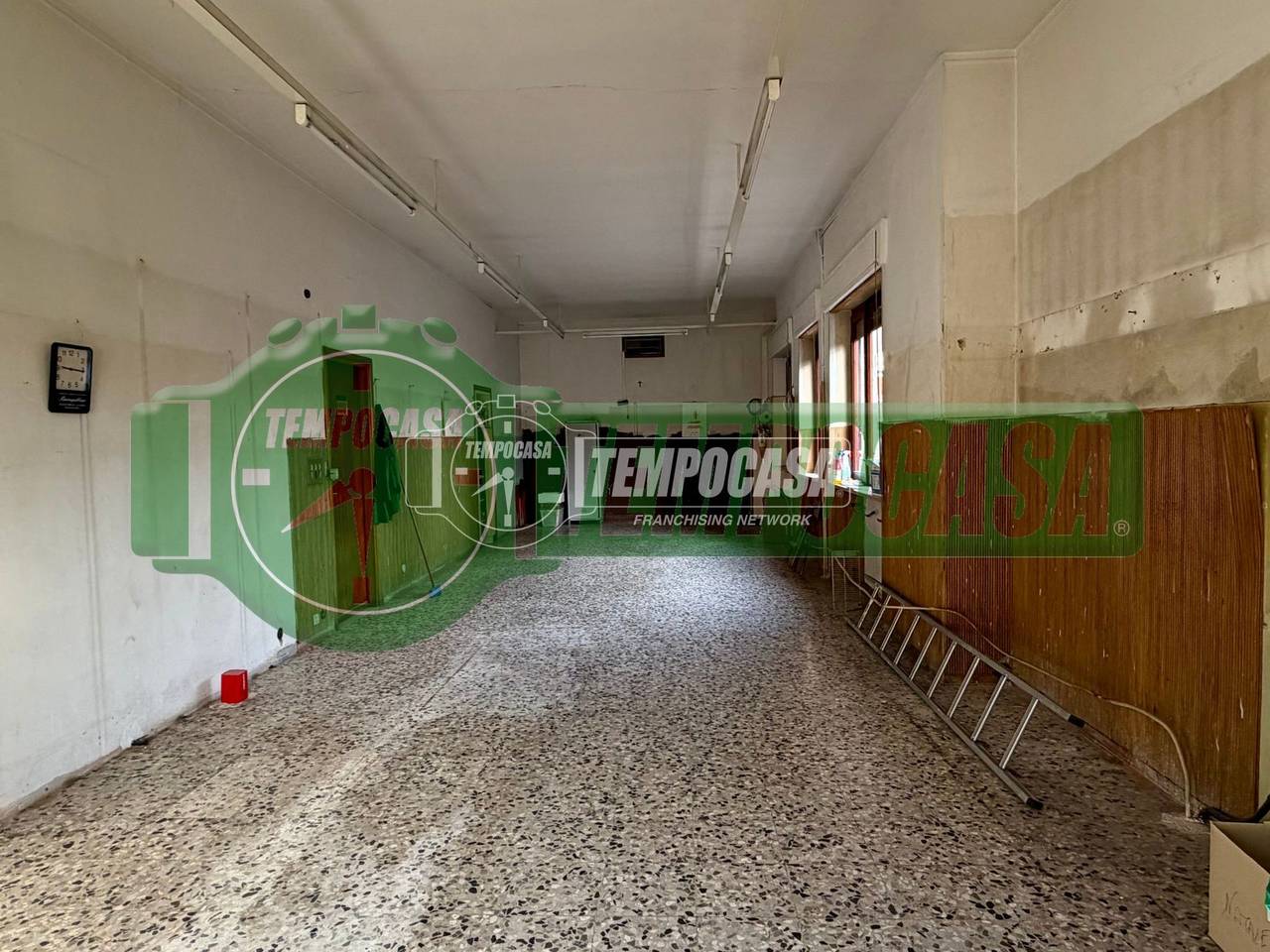 immagine annuncio 7 di 14