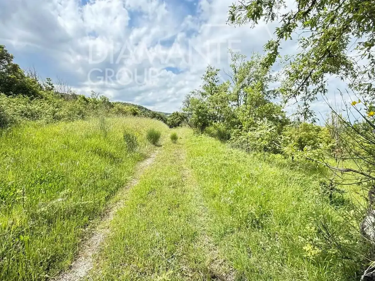 Azienda agricola in , Allerona, {3} - Foto 2