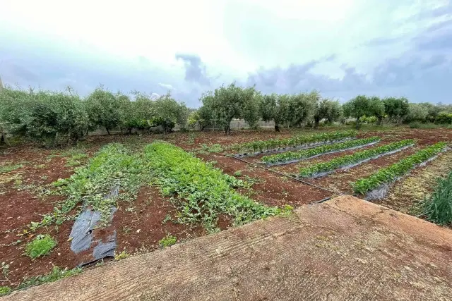 Building land in Via Filicudi  5, Siracusa - Photo 1