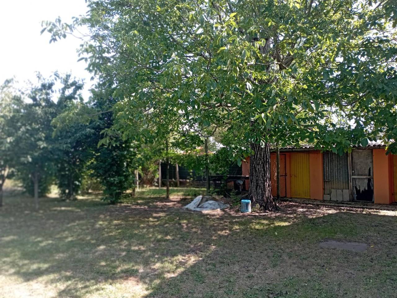 immagine annuncio 10 di 12