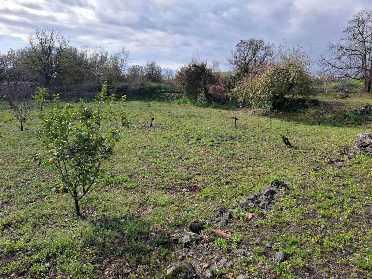 immagine annuncio 4 di 9