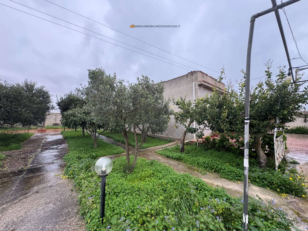 immagine annuncio 8 di 9