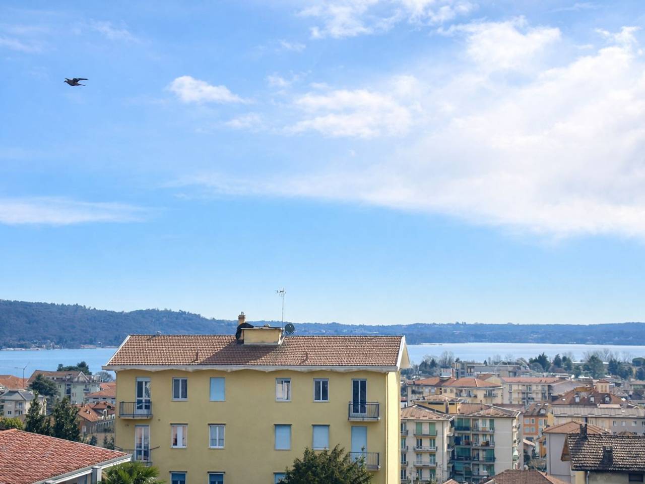 immagine annuncio 11 di 14