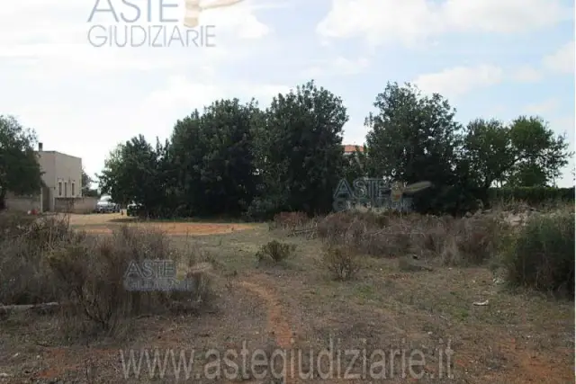 insertion image