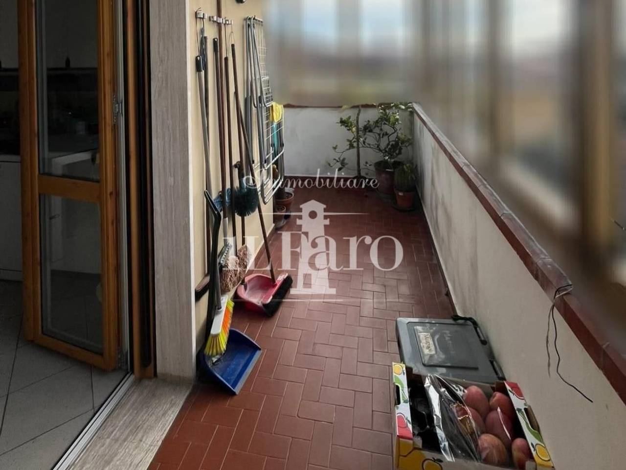 immagine annuncio 3 di 12