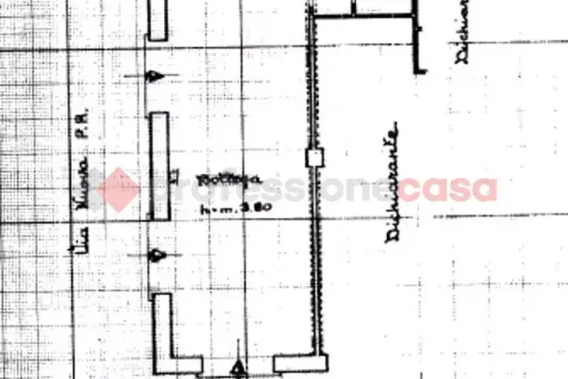 insertion image