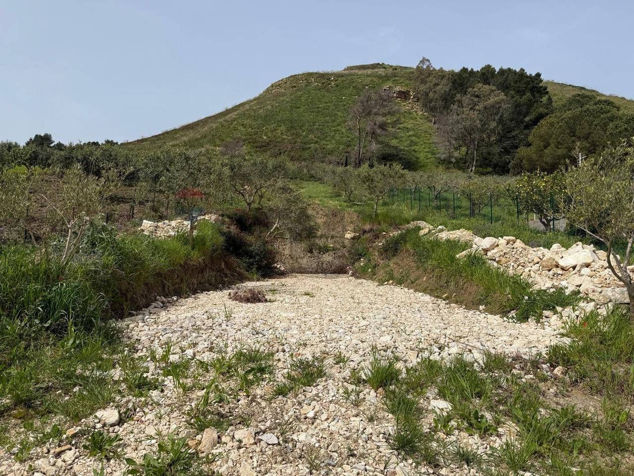 immagine annuncio 5 di 8