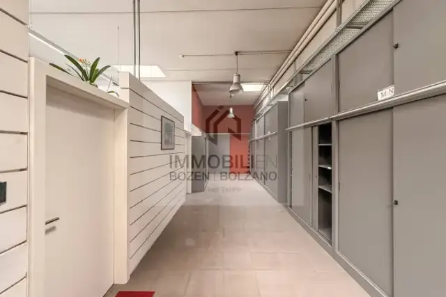 insertion image
